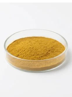 Pomegranate Seed Extract Powder