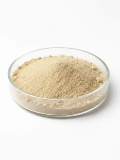 Garlic powder