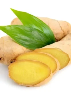 Ginger Hydrosol