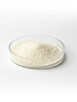 Cholesterol Powder
