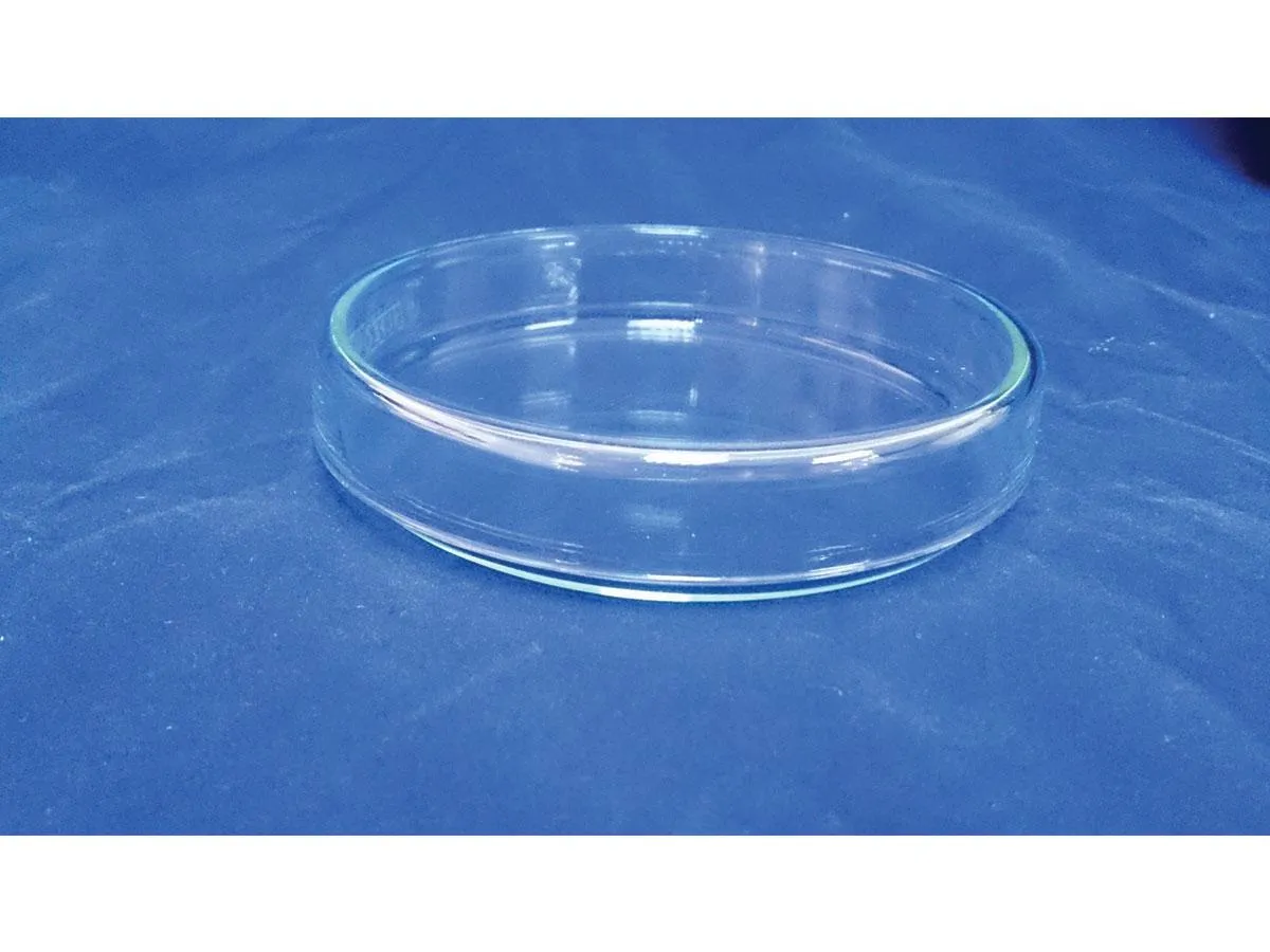 Petri Dish (With Cover) 50ml - Image 2